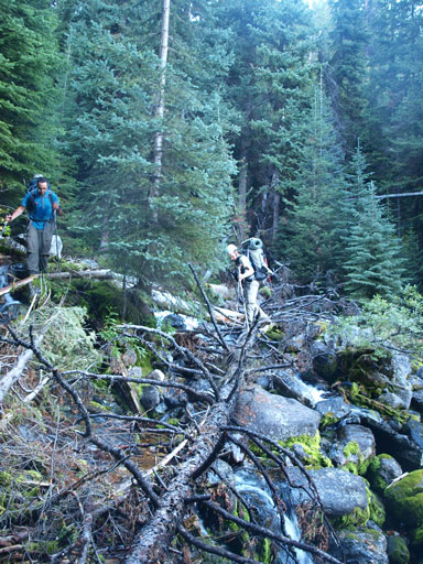 Crossing the stream again, and more dead-falls