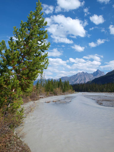 Now comes the Chaba...