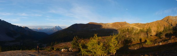 Panorama view from treeline