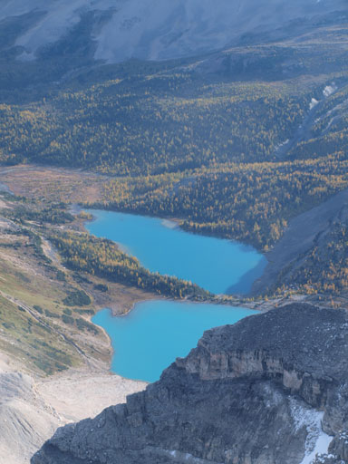 Myosotis and Zigadenus Lakes