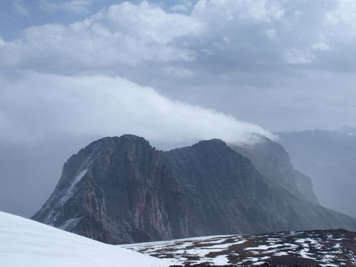 Pika, unnamed, and Ptarmigan