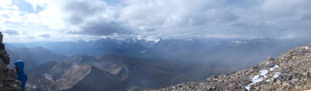 More views started showing up!