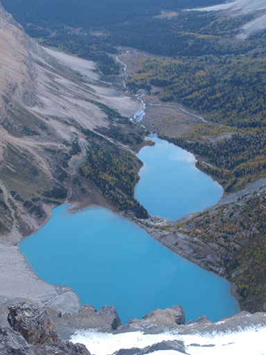 Zigadenus and Myosotis Lakes