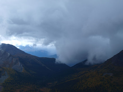This storm moved in in only 5 minutes or so. (with thunders this time)!