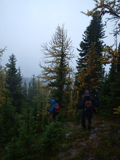 Into the trees. The wind was done, but it was still snowing/raining/hailing