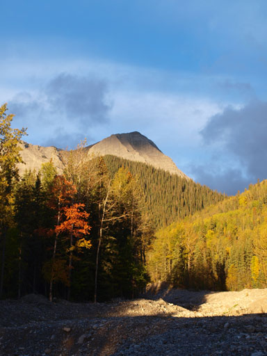 Gorgeous morning lighting.