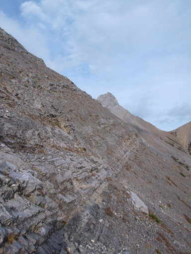 Typical terrain on the "left branch".