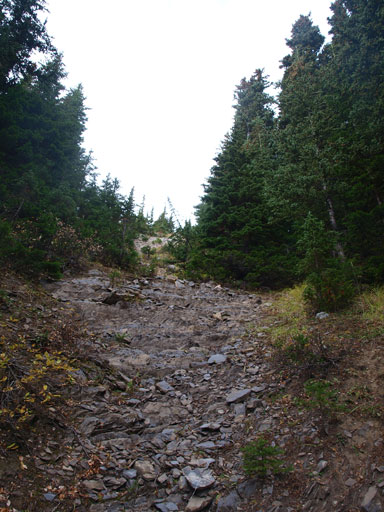 Ascending a cut block to minimize bushwhacking