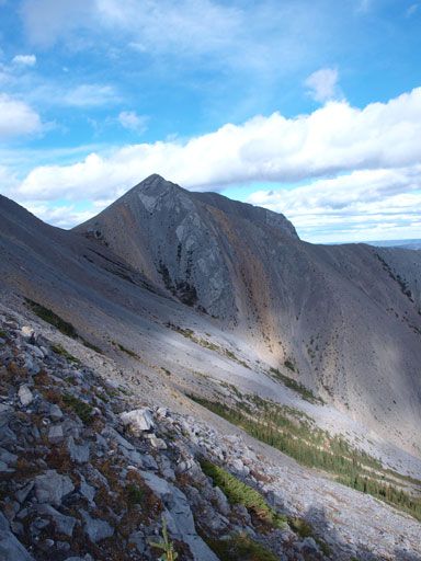 As you can see, the terrain is easy around here. All lines work