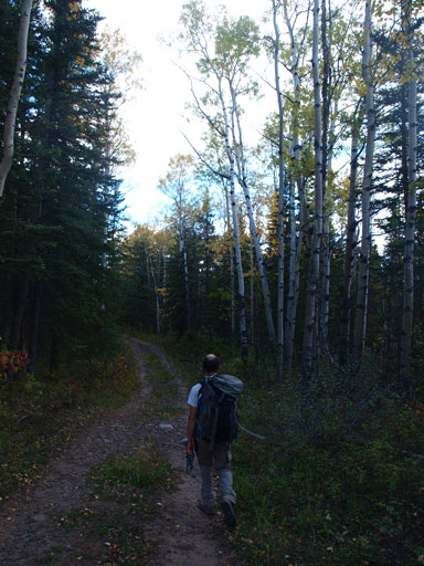 Back to the ATV trail