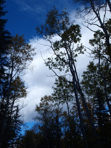 I like the colours in this photo.