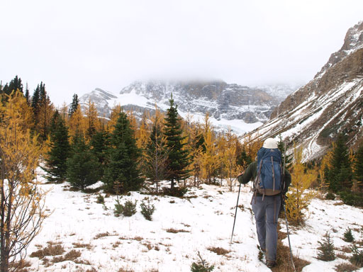 Then we picked the unofficial trail towards Packer's Pass