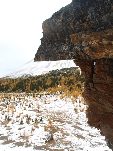 Interesting view from the chimney