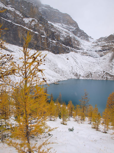 Looking back towards Zigadenus Lake