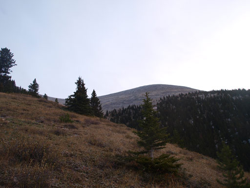 Typical view looking up from near treeline