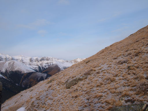 Grassy slope offered easy travel