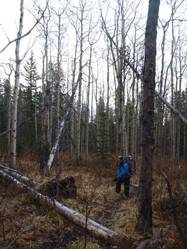 Following the horse trail up towards "Association col"
