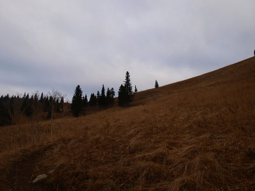 Higher up on the horse trail