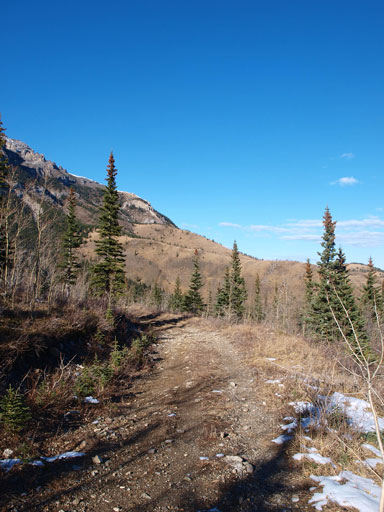 Down to the quad road