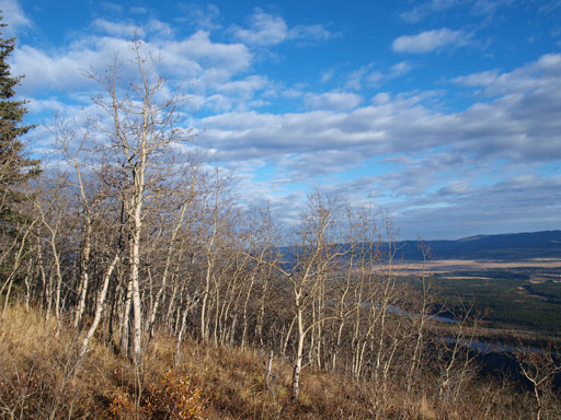 Back to Yam's shoulder. 