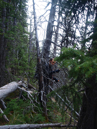 Bush wasn't pleasant