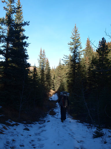 This is the typical view from this road/trail