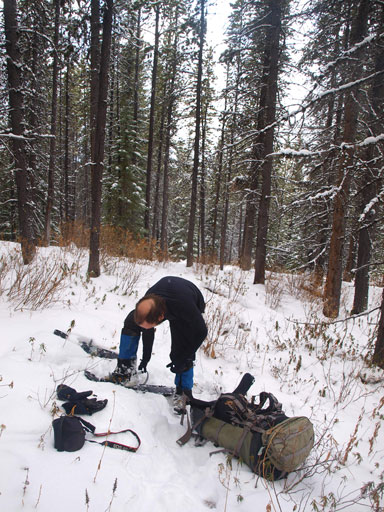 Finally got enough snow to strap snowshoes on after 10km in.