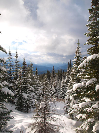 Higher up the views started to open up