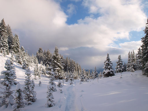 Looking back at our tracks