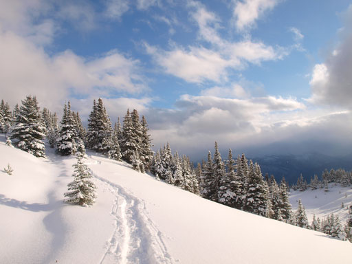 Definitely winter here!