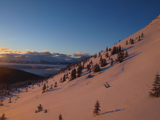 Beautiful alpine environment