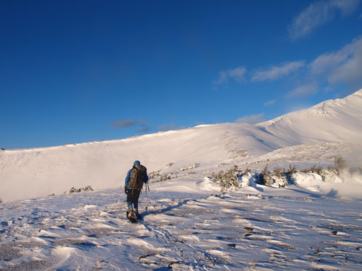 The broad ridge ahead would lead us easily to the summit ridge