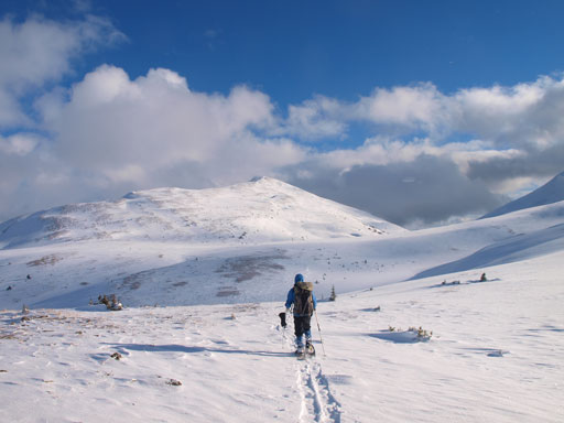 Travelling towards Elysium Mountain