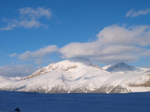 Looking back towards Mount Oliver