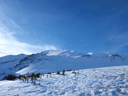 Looking back at Aberhart
