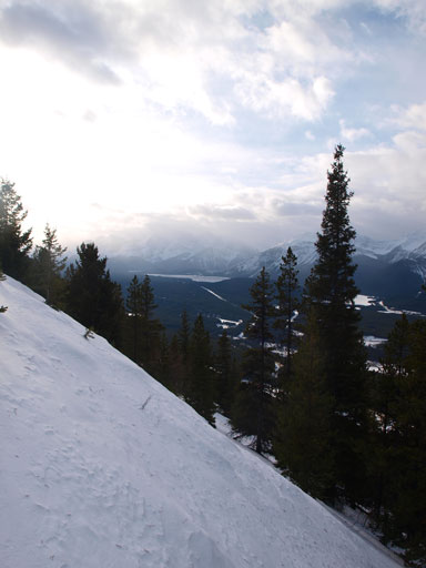 Higher up, it was still steep