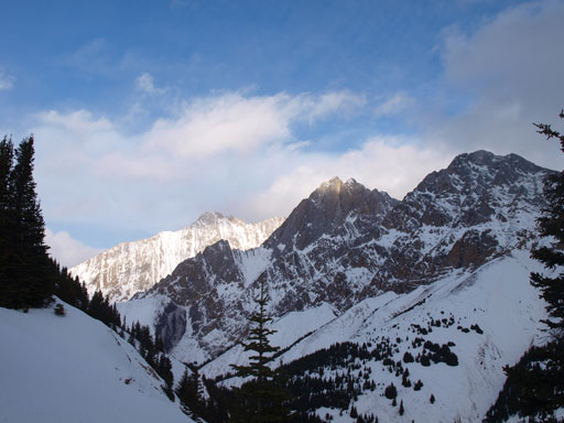 Evan-Thomas, Packenham and Hood