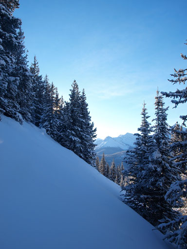 There're quite a few open slopes to ascend in the trees