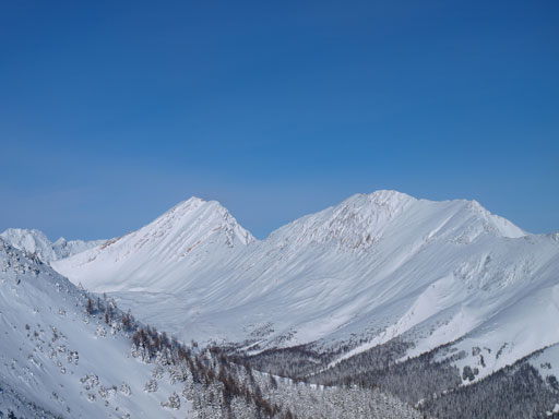 Inflexible and Lawson