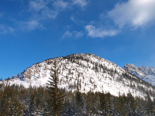 The upper section of Limestone Mountain.