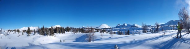 Arrived at the meadows now. 