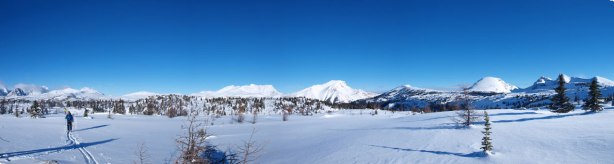 Panorama of the meadows
