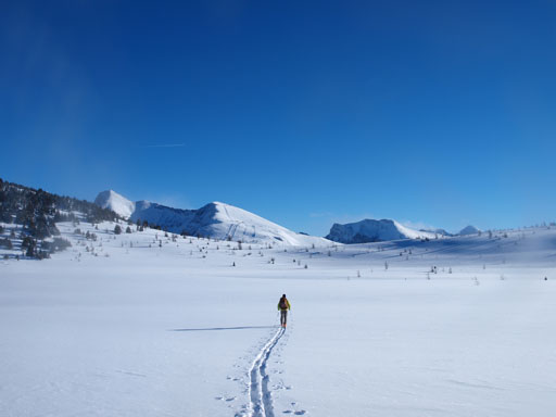 Wietse breaking trail ahead