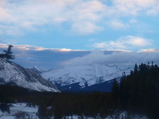 Sparrowhawk and Read's Tower