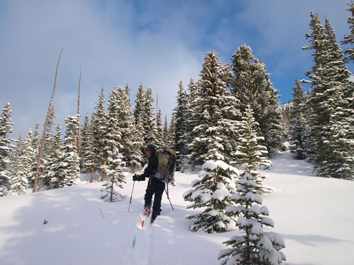 Probably the only sunshine we got