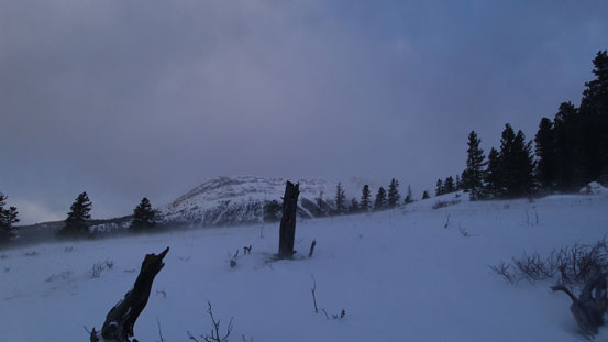 Near the ridge crest now