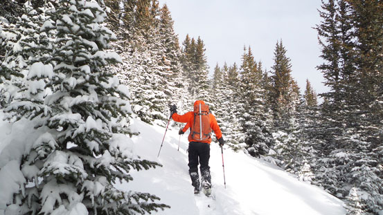 Tedious trail-breaking around here