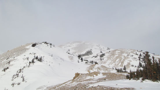 Finally reached the treeline. The summit is the farthest bump. 