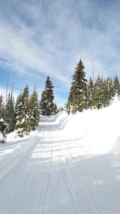 Typical view along the road