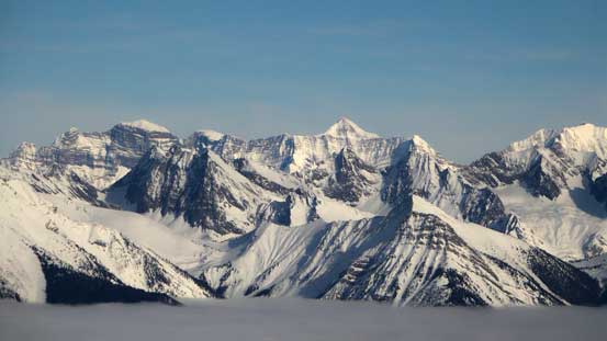 Giants on Freshfield Icefields - Mt. Dent on the far left and Mt. Freshfield at center